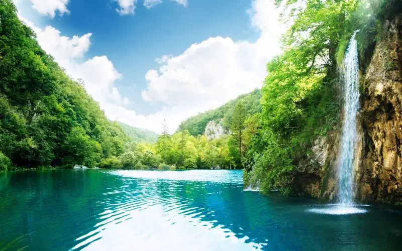 网络化数字化新型